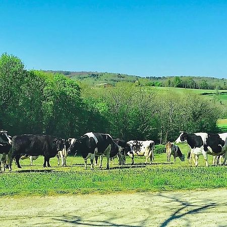 « Le Vieux Hangar » Gite A La Ferme Truffe Exteriér fotografie