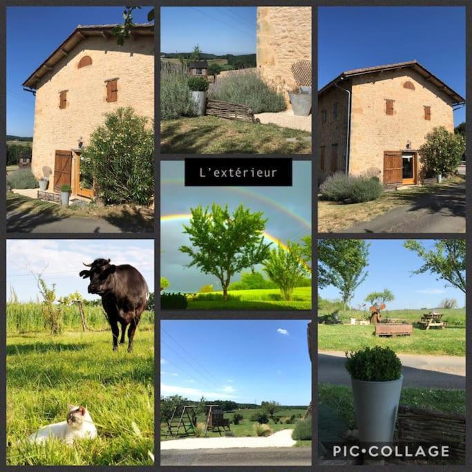 « Le Vieux Hangar » Gite A La Ferme Truffe Exteriér fotografie