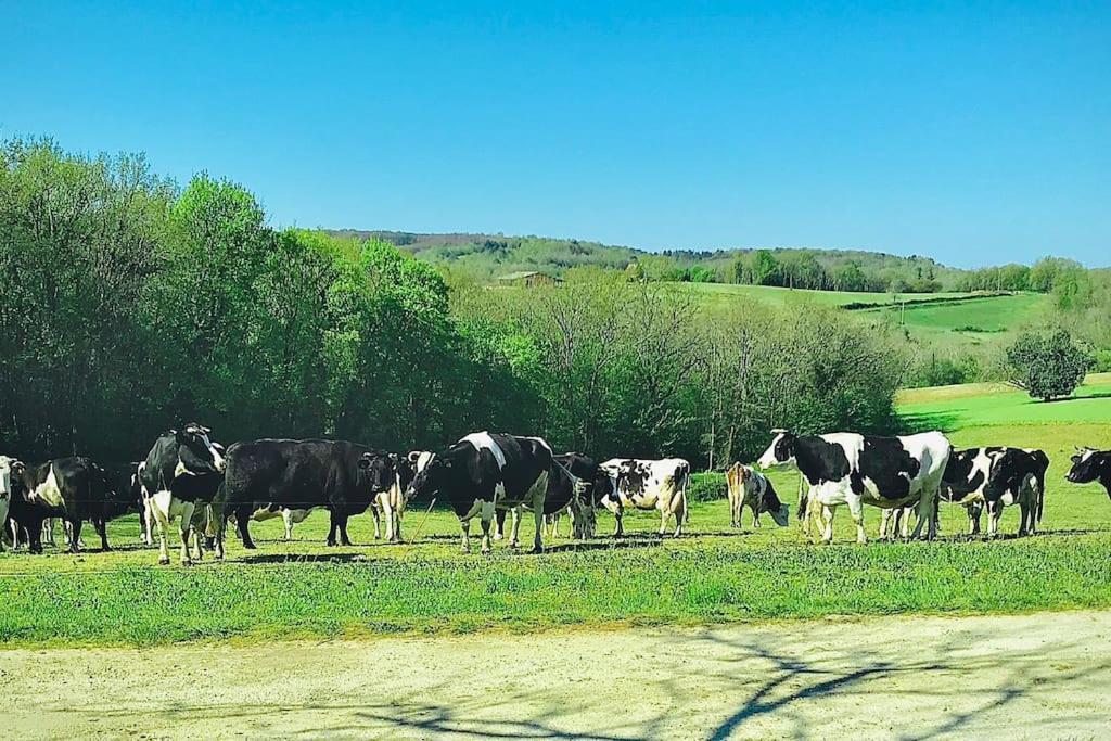 « Le Vieux Hangar » Gite A La Ferme Truffe Exteriér fotografie